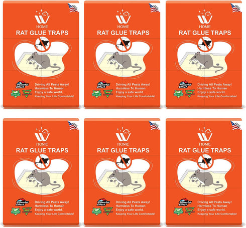 Rat Glue Trap Small - 6 Pcs | WBM HOME